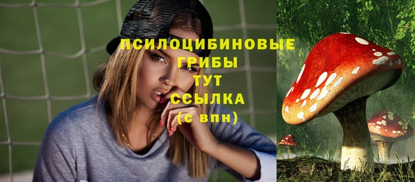 марки lsd Елабуга