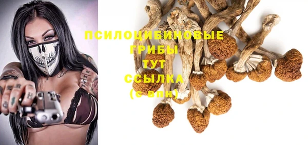 первитин Верхний Тагил