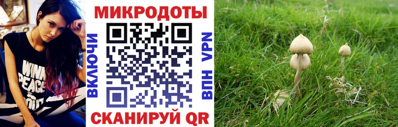 Псилоцибиновые грибы MAGIC MUSHROOMS  Семёнов 